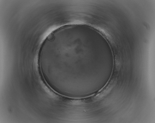 X0000113931422200909251210
