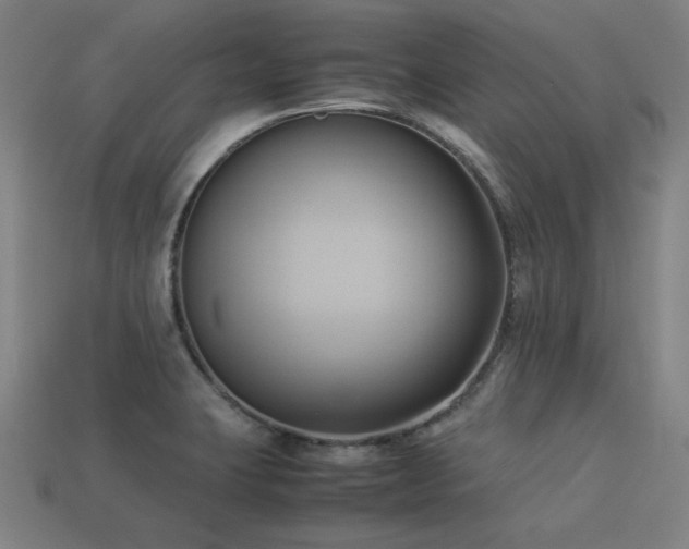 X0000113931423200909251210