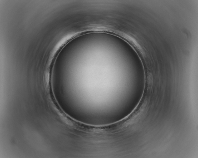 X0000113931424200909251210