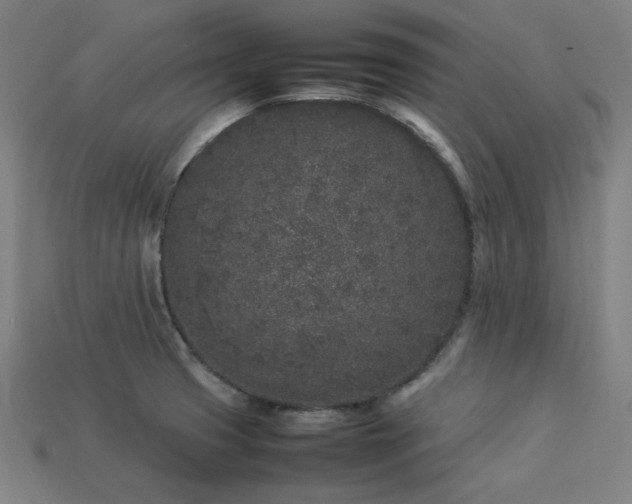 X0000113931425200909251210