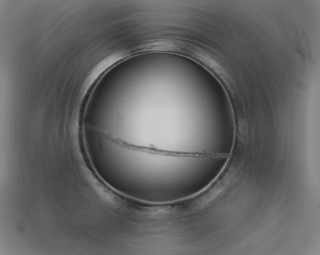 X0000113931426200909251210