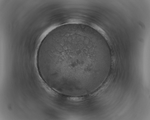 X0000113931427200909251210