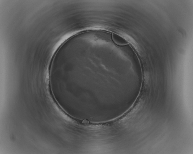X0000113931428200909251210
