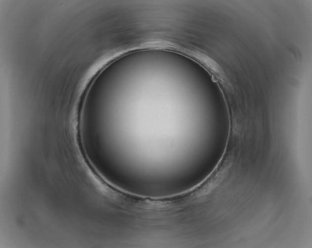 X0000113931430200909251210