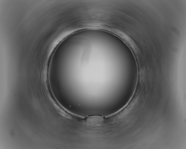 X0000113931432200909251210