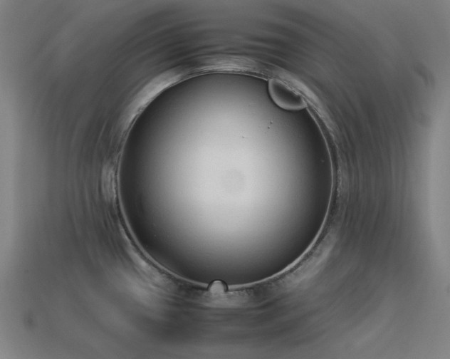X0000113931433200909251210