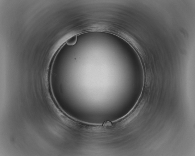 X0000113931434200909251210