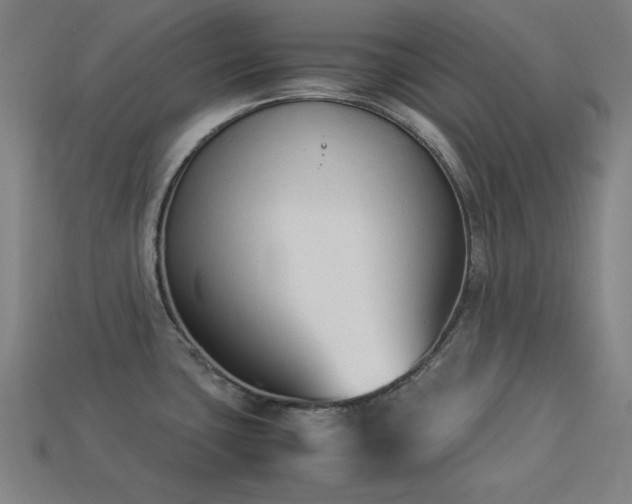 X0000113931435200909251210