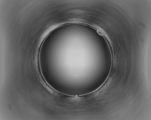 X0000113931437200909251210