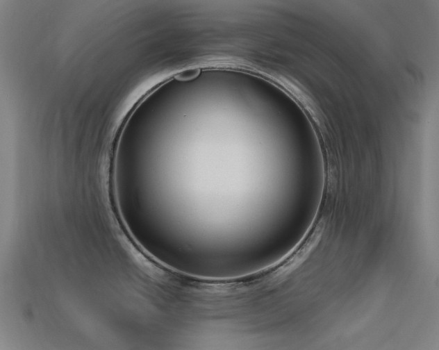 X0000113931438200909251210