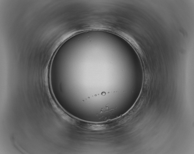 X0000113931439200909251210
