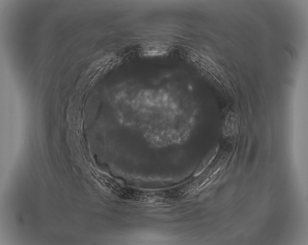 X0000113931441200909251210