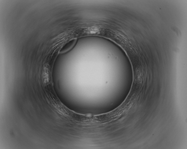 X0000113931442200909251210