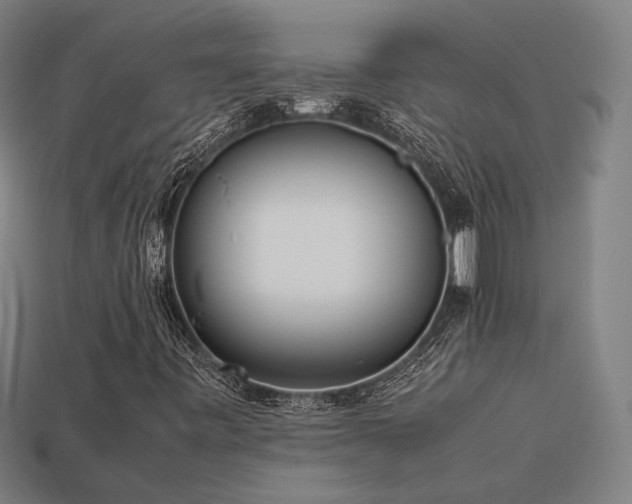 X0000113931443200909251210