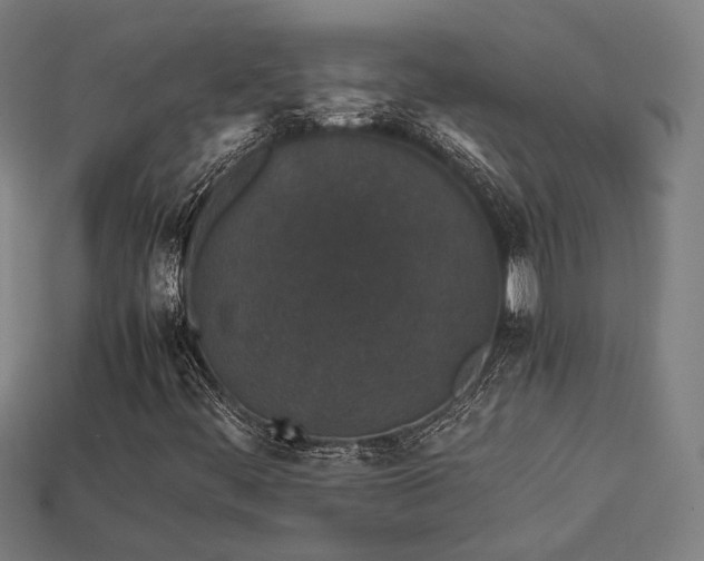 X0000113931444200909251210