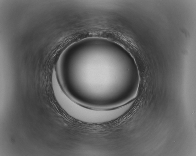 X0000113931445200909251210