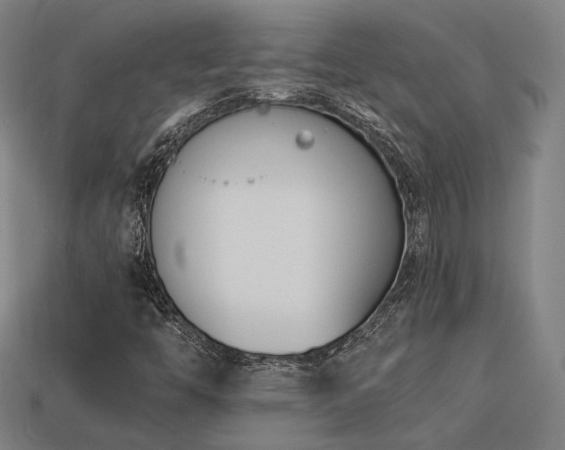 X0000113931446200909251209