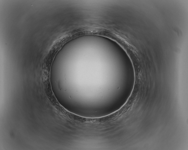 X0000113931447200909251209