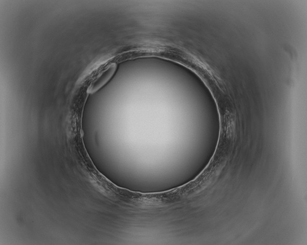 X0000113931448200909251209
