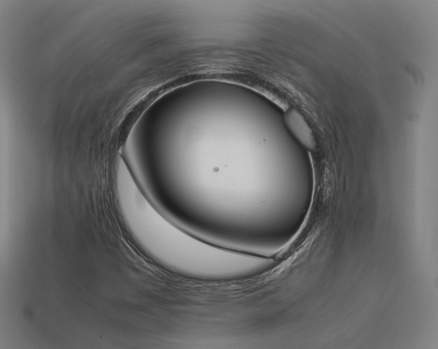 X0000113931449200909251209