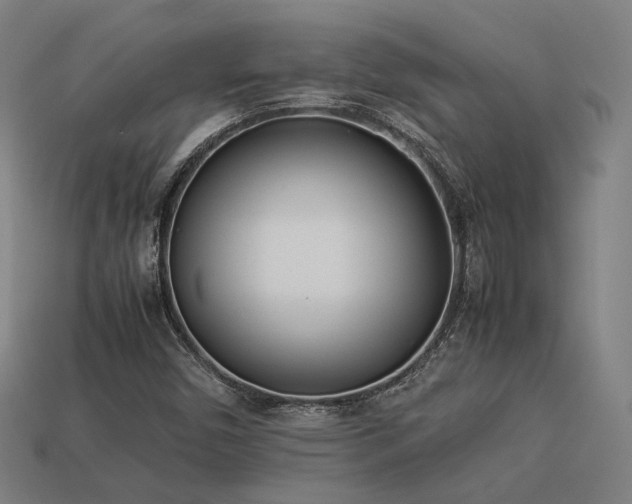 X0000113931450200909251209