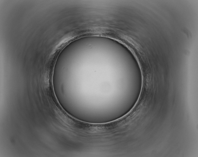 X0000113931451200909251209