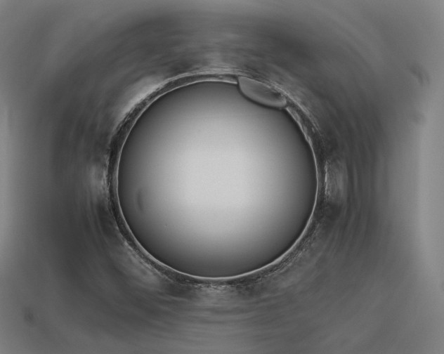 X0000113931452200909251209