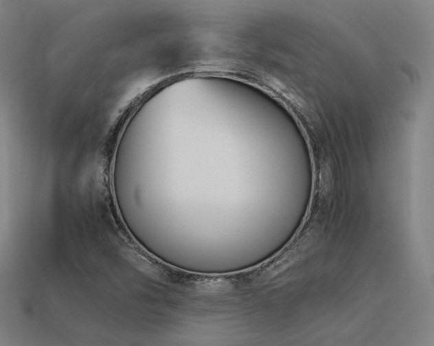X0000113931454200909251209