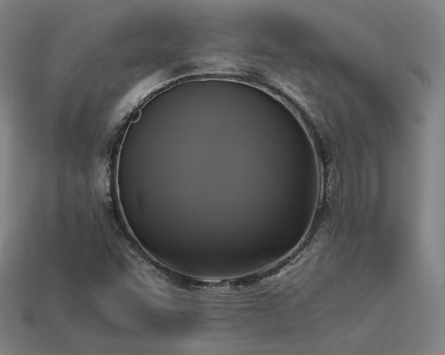X0000113931455200909251209