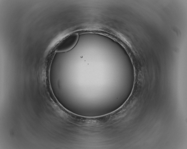 X0000113931456200909251209