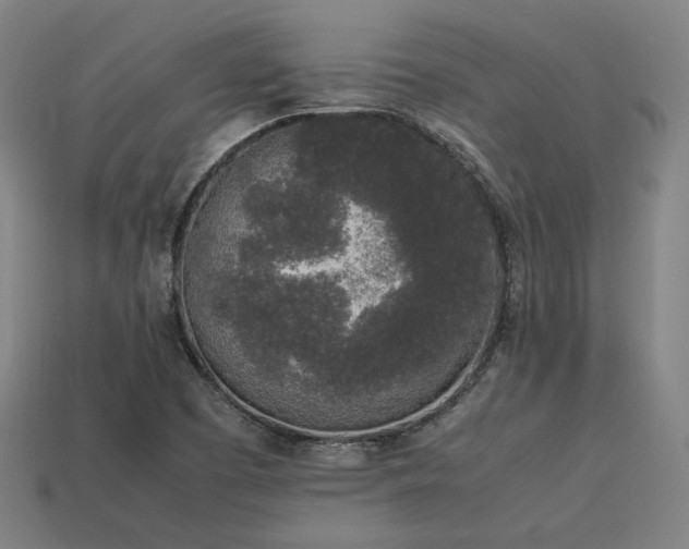 X0000113931457200909251209