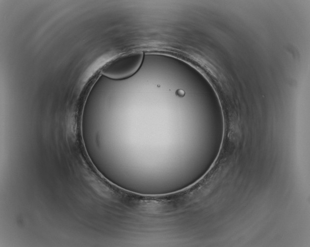 X0000113931458200909251209