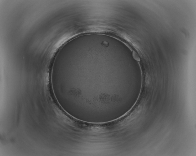 X0000113931459200909251209