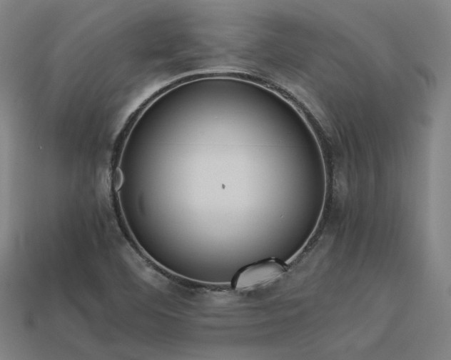 X0000113931460200909251209