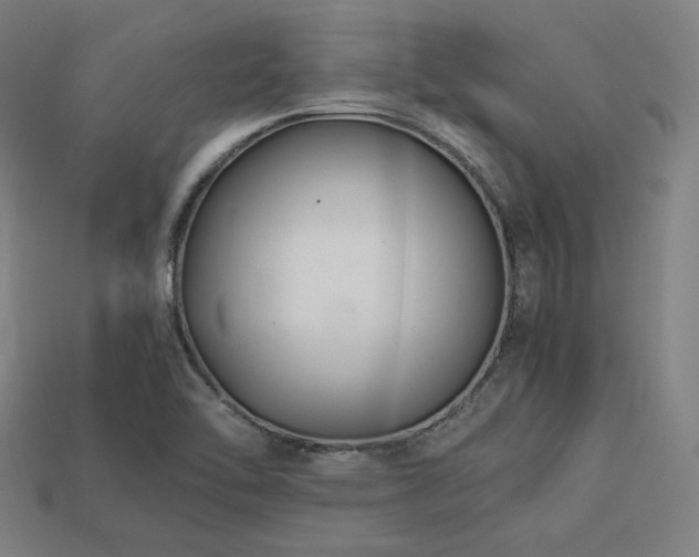 X0000113931462200909251209