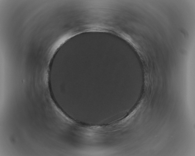 X0000113931463200909251209