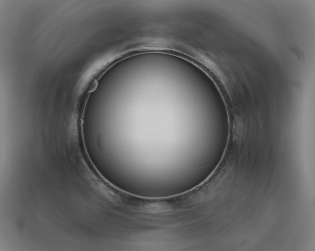 X0000113931464200909251209