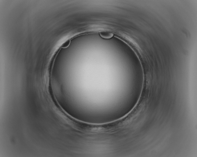 X0000113931467200909251209