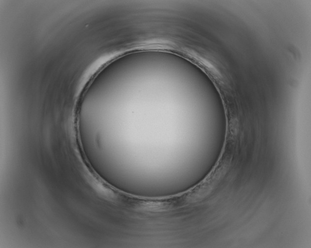 X0000113931470200909251209
