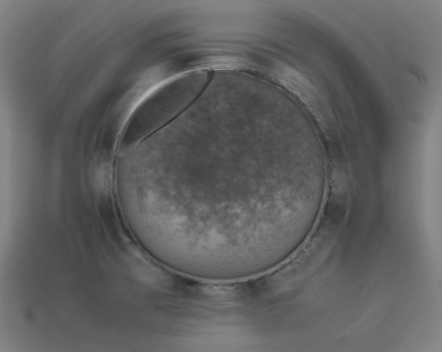 X0000113931473200909251209