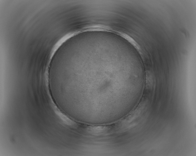X0000113931474200909251209