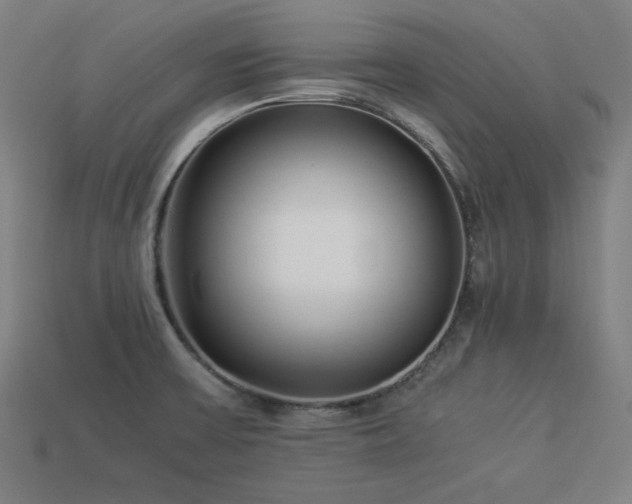 X0000113931475200909251209