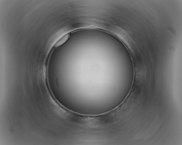 X0000113931476200909251209