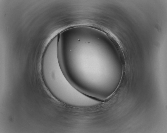 X0000113931477200909251209