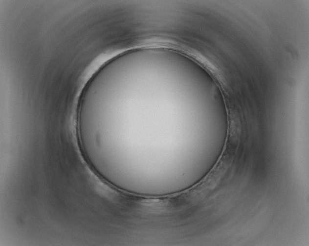 X0000113931478200909251209