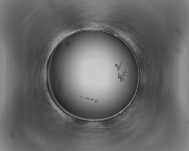 X0000113931479200909251209