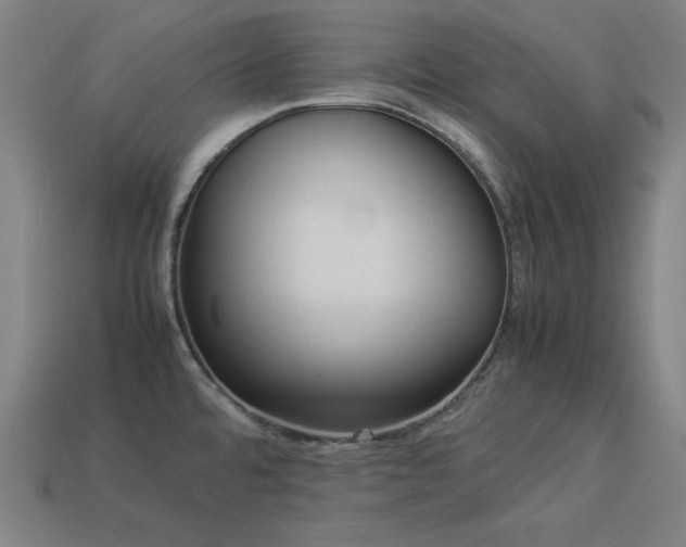 X0000113931480200909251209