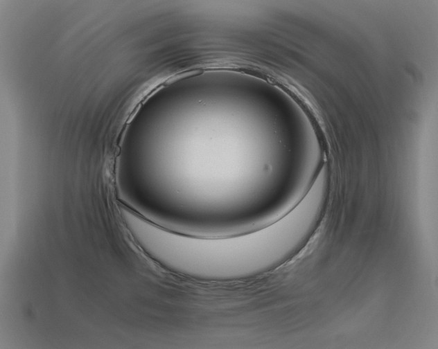 X0000113931481200909251209