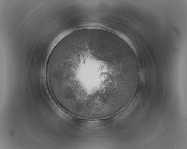 X0000113931482200909251209