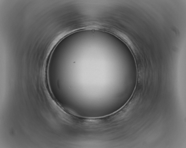 X0000113931483200909251209